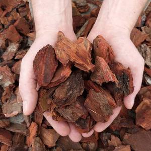 Extrait d'écorce de pin naturel en poudre Capsule d'extrait d'écorce de pin à un prix abordable. - Product Image 3