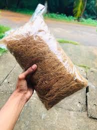 VietNam Fibre de noix de coco pour empotage et montage | Fibre de noix de coco pour plante | Emballage d'orchidée naturelle en fibre de coco 1KG - Product Image 5