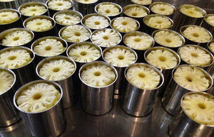 Đóng hộp trái cây tươi Việt Nam thực phẩm Del Monte thái lát dứa trong xi-rô cây trồng mới đóng hộp Dứa miếng (trong xi-rô ánh sáng) - Product Image 2