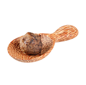 Nueva Cuchara Artesanal Ecológica de Madera de Coco, Vajilla de Madera Natural Hecha a Mano para el Hogar y Restaurantes, Venta al por Mayor en Vietnam - Product Image 3