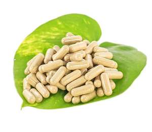 Marque privée OEM emballage Giloy Guduchi extrait Capsules Tinospora Cordifolia haute pureté qualité naturelle - Product Image 1