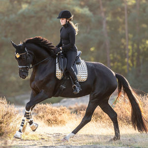 Ensembles de tapis de selle de dressage pour chevaux en gros - Accessoires d'équitation respirants personnalisables de haute qualité - Product Image 3