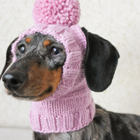 Patrón de punto sólido Mini sombrero de perro salchicha estilo moderno y clásico Festival ropa para perros regalo de moda de invierno para perros pequeños