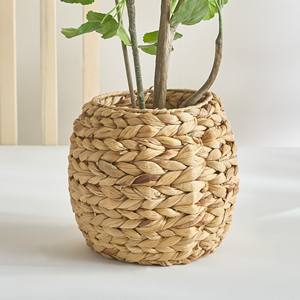 Accesorios para plantas de interior, maceta de jacinto de agua natural, maceta tejida de mimbre, macetas más vendidas - Product Image 2