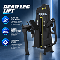 Appareil de musculation professionnel BN pour les fessiers – Machine de poussée de hanche robuste pour l'entraînement des fessiers
