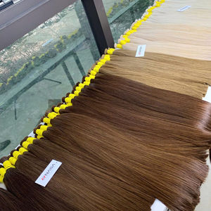 <b>Top</b> Selling Bulk 24 Inches Vietnamese Virgin Remy Hair Extensions Double Drowned 100 Grams Natural Wave Dyed in Dark Colors - Product Image 1