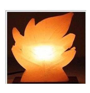 Lampes de sel de l'Himalaya en forme de feuille raffinée emballée dans un sachet de bouteille de sac - Product Image 4