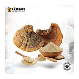 Malasia LiGNO SH02 Sang Huang en Polvo, Nutricosmético Natural, Vitalidad, Inmunidad, OEM, ODM, Suplemento Funcional para la Salud - Product Image 1