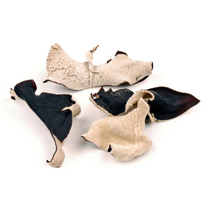 เห็ดหูทำจากไม้สำหรับเลี้ยงในฟาร์มเอเชียแบบแห้งเกรดใช้กับ2023ส่งออก - Product Image 1