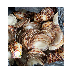 คุ้มค่ากับการออกแบบที่ทำด้วยมือจากเวียดนามด้วยฝีมือการตกแต่งที่สวยงาม - Product Image 1