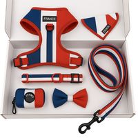 Coffret cadeau pour animaux de compagnie de style britannique | Ensemble de bandana de laisse de harnais pour chien personnalisé | Fabricant d'accessoires pour animaux de compagnie direct d'usine