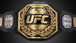 เข็มขัดแชมป์พียูสำหรับมวยศิลปะการต่อสู้ MMA รวมถึงเทควันโดจู-ยิตสูไอคิโดคาราเต้ - Product Image 2