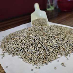 Hog Millet - Product Image 5