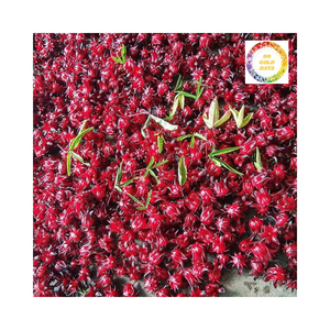 กลีบดอกชบาแห้งคุณภาพส่งออกระดับพรีเมียมอุดมไปด้วยสารอาหารสีแดงธรรมชาติราคาไม่แพง - Product Image 2