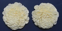 Fleurs sola naturelles de taille 2 cm, adaptées aux papeteries de mariage et aux magasins de décoration intérieure