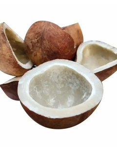 ผู้ส่งออกมะพร้าวอบแห้งจากโรงงานโดยตรง - Product Image 5