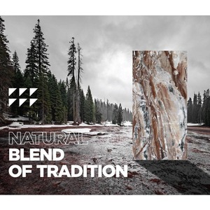 Argos Grey กระเบื้องพอร์ซเลนขนาด32x64นิ้วสำหรับห้องน้ำ - Product Image 3