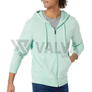 Unisexe 100% coton pull à capuche haute qualité surdimensionné poids lourd tissu thermique brodé technique solide coton printemps - Product Image 1