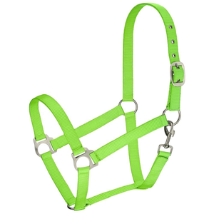 Licol de cheval en nylon de conception de selle anglaise élégante meilleure qualité avec matériel en fer nickelé vibrant Halters de qualité supérieure - Product Image 2
