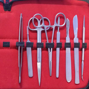 Coral Frag Kit Set Disección Fragging Propagación Reef Hard Soft Disección Quirúrgica Frag Kit Por debonairii - Product Image 3