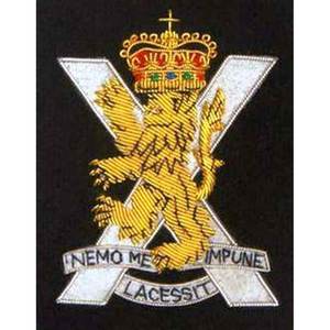 ROYAL VETINARY CORPS BLAZER BADGE Utilisation cérémonielle Pas Cher Taux 100% Fait À La Main Broderie Badge Bullion Blazer Top Qualité Badges - Product Image 4