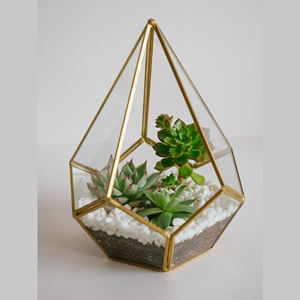 Metal <b>Terrarium</b> clear Glass Candle Table Top Lantern With Brass Finished Candle Holder <b>for</b> Decoration Handmade Items on <b>Sale</b> - Product Image 6