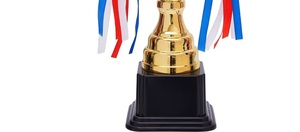 Trofeo de Metal de Alta Demanda para Celebrar los Logros de los Mejores Empleados en Organizaciones, Trofeo a Precio Económico al por Mayor - Product Image 4