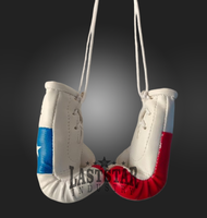 Guantes de Boxeo Mini Personalizados y Duraderos con Diseño de Bandera de País, Llavero Colgante para Auto de Cuero PU, LAST STAR INDUSTRY, Bosnia, Grecia