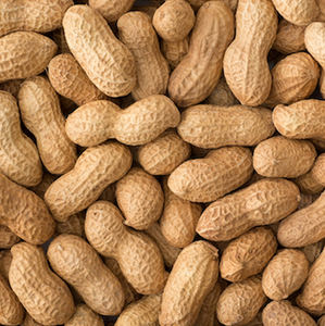 เมล็ดถั่วลิสงอบแห้งแบบ2024ออร์แกนิกสำหรับคนผิวขาวอบแห้งเกรดขนมขบเคี้ยวพร้อมกล่องใส่ - Product Image 1