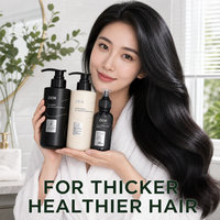 Shampoing Anti-Chute Marque Privée OEM Améliore la Densité des Cheveux Fortifie le Cuir Chevelu Soin Capillaire aux Feuilles d'Arbustes GMPC CPNP Vente en Gros