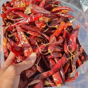 Mejor Venta de nueva cosecha de chile rojo seco a granel, venta al por mayor, chiles rojos picantes frescos - Product Image 4