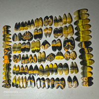 Pierre précieuse artisanale Abeille, paire de pierres précieuses naturelles polies, pierres brutes pour bijoux, vente en gros disponible, meilleur prix