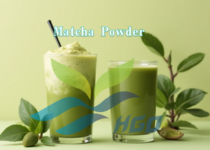 HGO Suministro directo de fábrica de polvo de Matcha natural puro (grado alimenticio) Especificación 4A Polvo de hierbas (polvo de frutas o verduras) - Product Image 5