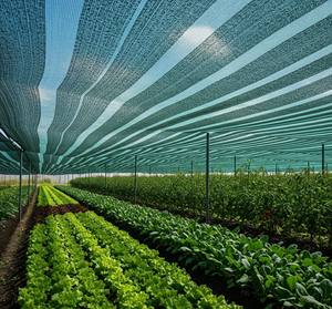Filet d'ombrage pour la protection des cultures agricoles Filets en plastique efficaces fabriqués en Inde - Product Image 3