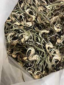 Fleur d'artichaut séchée du Vietnam pour une utilisation culinaire dans les ragoûts et les soupes, offrant une saveur authentique d'herbes tropicales aux repas - Product Image 2