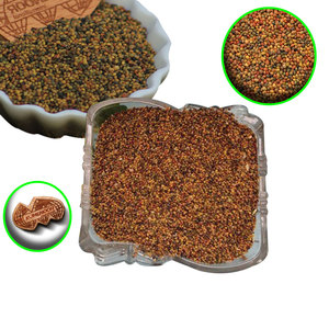 Persian Clover | <b>Dried</b> <b>Plant</b> Nutrition | Organic Farming Product - Product Image 1