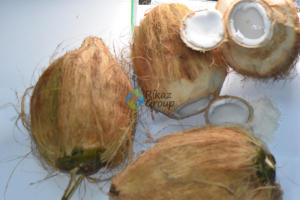 Poudre de noix de coco biologique de haute qualité en Tanzanie Produit agricole haut de gamme - Product Image 4