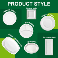 Assiettes jetables en bagasse en gros, assiettes compostables en pulpe de canne à sucre, contenants alimentaires biodégradables