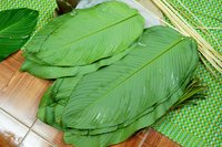 Feuilles de dong fraîches les plus vendues à bas prix, grandes, flexibles et parfaites pour emballer les gâteaux de riz traditionnels et les plats de fête