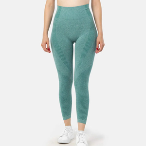 Women's Workout <b>Leggings</b> High Waist Tummy Control Yoga Pants Seamless Athletic Gym Wear Breathable Stretchable Fitness Running - Product Image 6