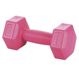 Mancuerna de Fitness Rosa de 1 kg FitLover, Equipo de Musculación de Hierro Fundido con Logotipo Personalizado para Entrenamiento de Brazos - Product Image 1