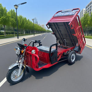 Tricycle électrique à trois roues à carrosserie ouverte très bon marché, moteur 351500W, à vendre - Product Image 2