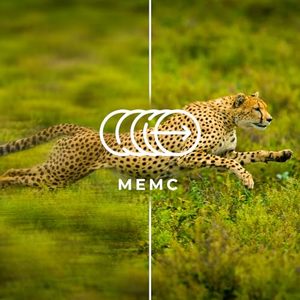 Téléviseur intelligent QLED 4K UHD 120Hz de 98 pouces avec local dimming, caisson de basses et Wi-Fi - Product Image 6