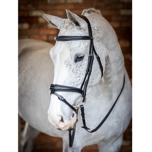 Bride de compétition anatomique Flash Bridle en cuir rembourré souple de couleur noir/marron - Product Image 1