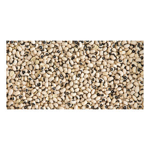 Venta al por mayor de alta calidad 100% producto natural seco oscuro de calidad alimentaria frijol de Ojos Negros - Product Image 2