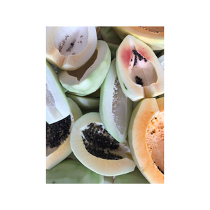 Rodajas de papaya seca de calidad de exportación de Vietnam naturalmente dulce alto en fibra rico en vitaminas no OGM snack perfecto - Product Image 3