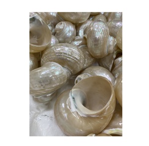 Servilletero de concha marina, decoración de mesa, servilletero bohemio/Marco de concha marina Natural para decoración de imagen de exhibición de boda de fiesta - Product Image 1