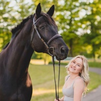 Bride de saut de cheval en cuir anglais réglable de qualité supérieure avec rênes confortables de l'exportation et du fournisseur indiens