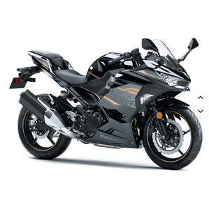 NUEVA Motocicleta Deportiva Ninja 400 ABS 2024 a Precio Accesible - Product Image 4