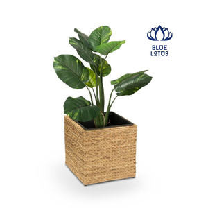 กระถางต้นไม้หวายผักตบชวา - Product Image 2